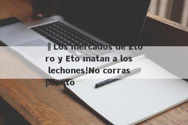 ¡Los mercados de Etoro y Eto matan a los lechones!No corras pronto