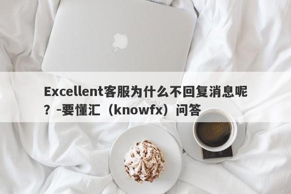 Excellent客服为什么不回复消息呢？-要懂汇（knowfx）问答