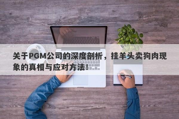 关于PGM公司的深度剖析，挂羊头卖狗肉现象的真相与应对方法！