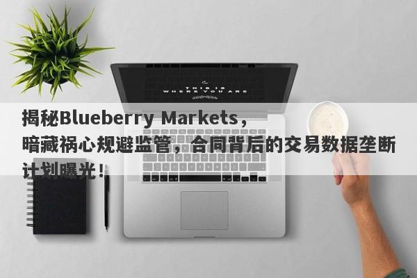 揭秘Blueberry Markets，暗藏祸心规避监管，合同背后的交易数据垄断计划曝光！