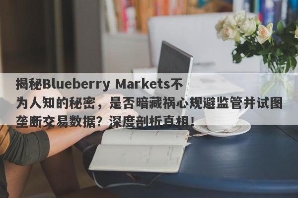 揭秘Blueberry Markets不为人知的秘密，是否暗藏祸心规避监管并试图垄断交易数据？深度剖析真相！