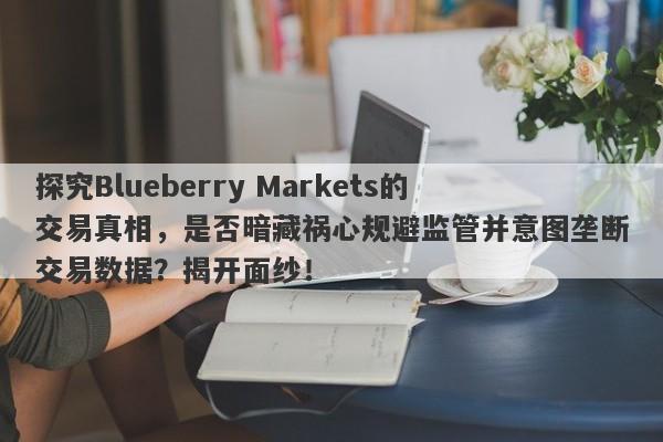 探究Blueberry Markets的交易真相，是否暗藏祸心规避监管并意图垄断交易数据？揭开面纱！