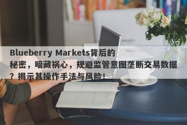 Blueberry Markets背后的秘密，暗藏祸心，规避监管意图垄断交易数据？揭示其操作手法与风险！