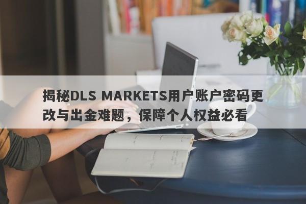 揭秘DLS MARKETS用户账户密码更改与出金难题，保障个人权益必看