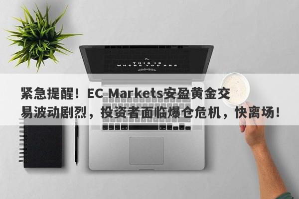 紧急提醒！EC Markets安盈黄金交易波动剧烈，投资者面临爆仓危机，快离场！