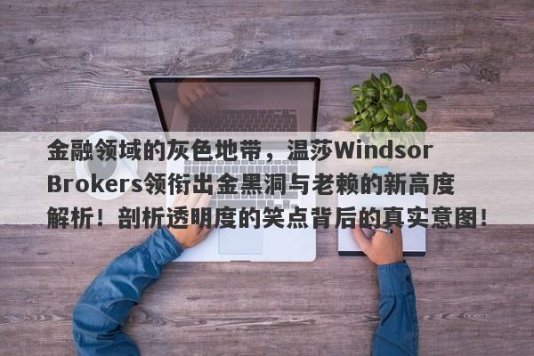 金融领域的灰色地带，温莎Windsor Brokers领衔出金黑洞与老赖的新高度解析！剖析透明度的笑点背后的真实意图！