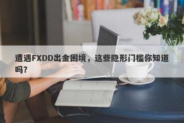 遭遇FXDD出金困境，这些隐形门槛你知道吗？