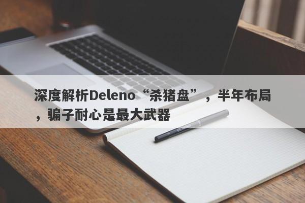 深度解析Deleno“杀猪盘”，半年布局，骗子耐心是最大武器