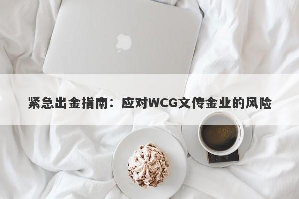 紧急出金指南：应对WCG文传金业的风险