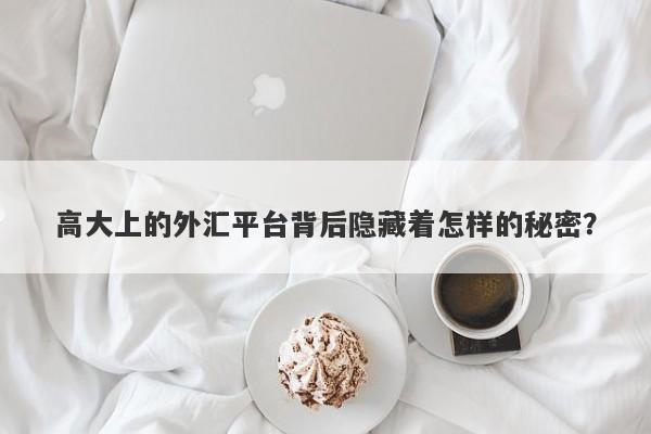 高大上的外汇平台背后隐藏着怎样的秘密？