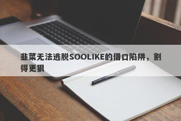 韭菜无法逃脱SOOLIKE的借口陷阱，割得更狠