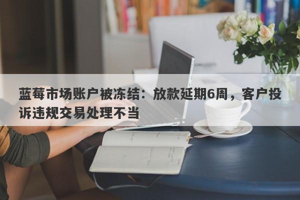 蓝莓市场账户被冻结：放款延期6周，客户投诉违规交易处理不当