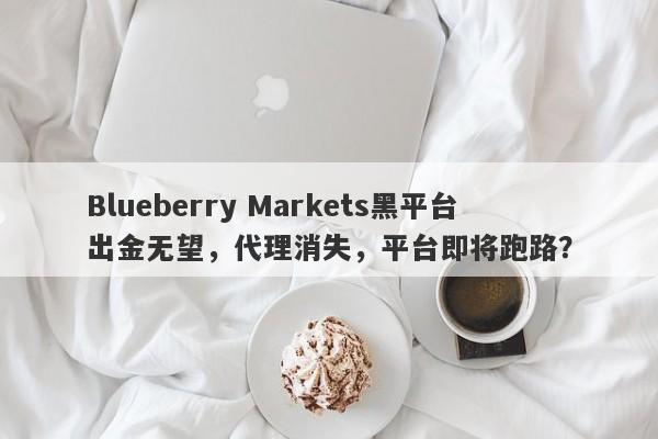 Blueberry Markets黑平台出金无望，代理消失，平台即将跑路？