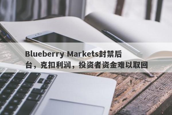 Blueberry Markets封禁后台，克扣利润，投资者资金难以取回