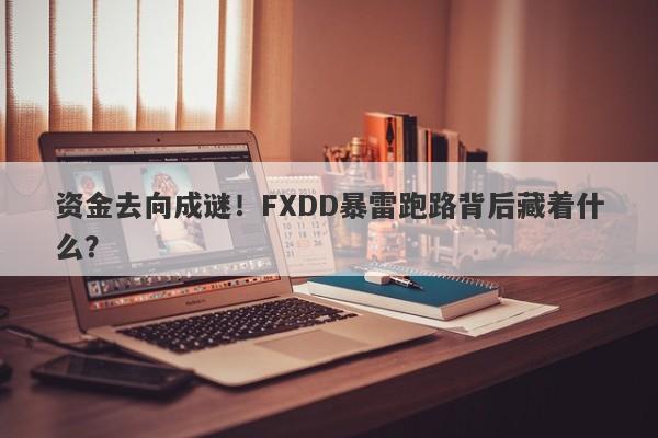 资金去向成谜！FXDD暴雷跑路背后藏着什么？