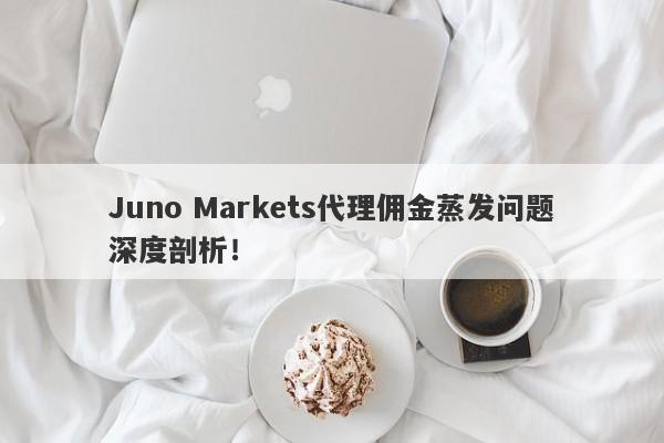 Juno Markets代理佣金蒸发问题深度剖析！