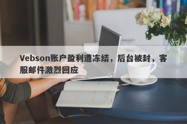 Vebson账户盈利遭冻结，后台被封，客服邮件激烈回应