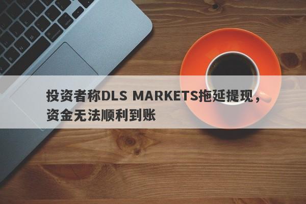 投资者称DLS MARKETS拖延提现，资金无法顺利到账