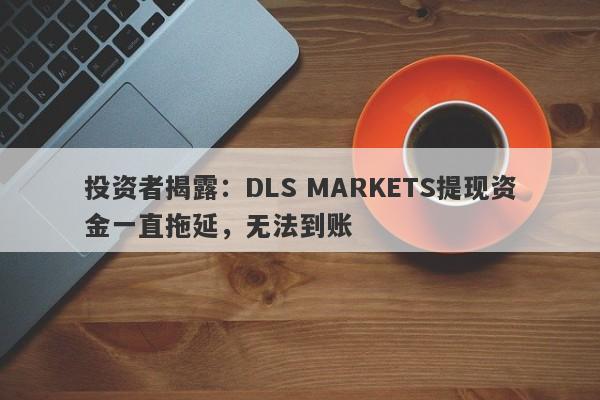 投资者揭露：DLS MARKETS提现资金一直拖延，无法到账