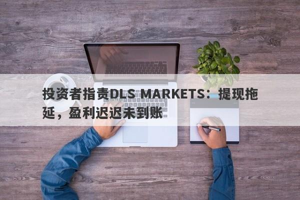 投资者指责DLS MARKETS：提现拖延，盈利迟迟未到账