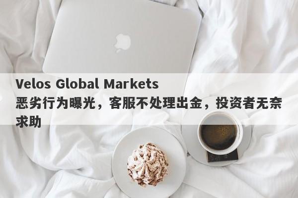 Velos Global Markets恶劣行为曝光，客服不处理出金，投资者无奈求助