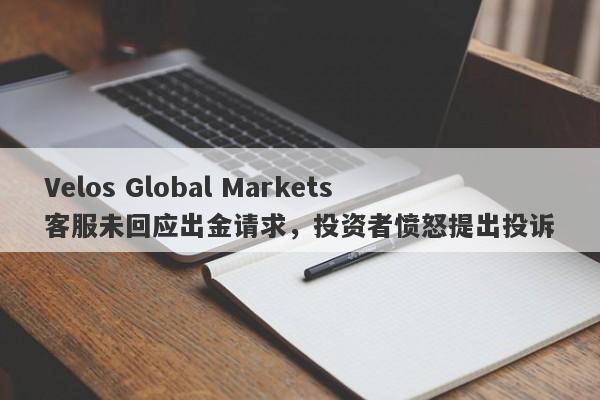 Velos Global Markets客服未回应出金请求，投资者愤怒提出投诉