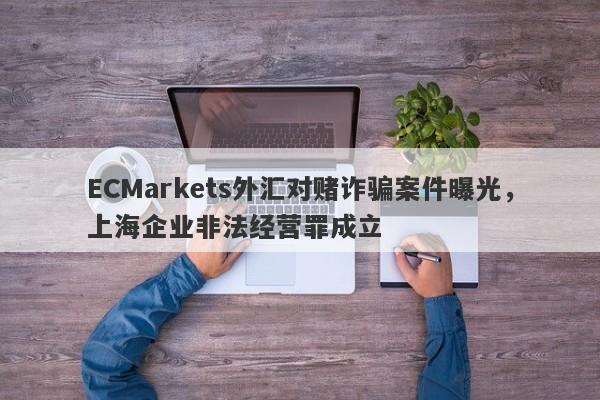 ECMarkets外汇对赌诈骗案件曝光，上海企业非法经营罪成立