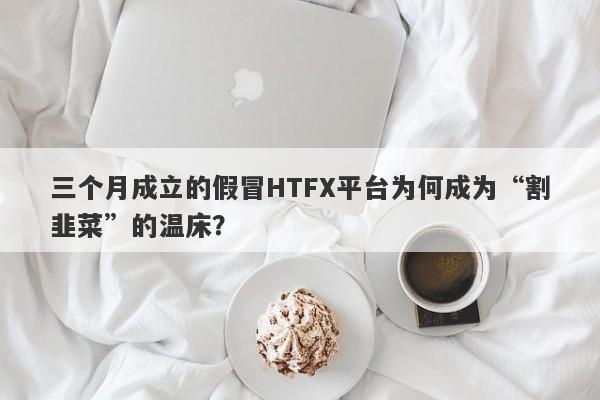 三个月成立的假冒HTFX平台为何成为“割韭菜”的温床？