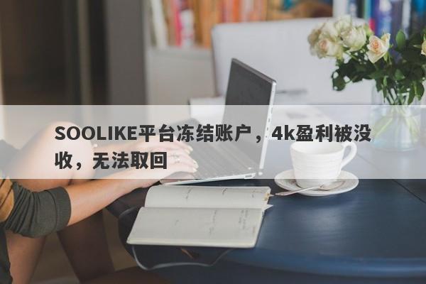 SOOLIKE平台冻结账户，4k盈利被没收，无法取回